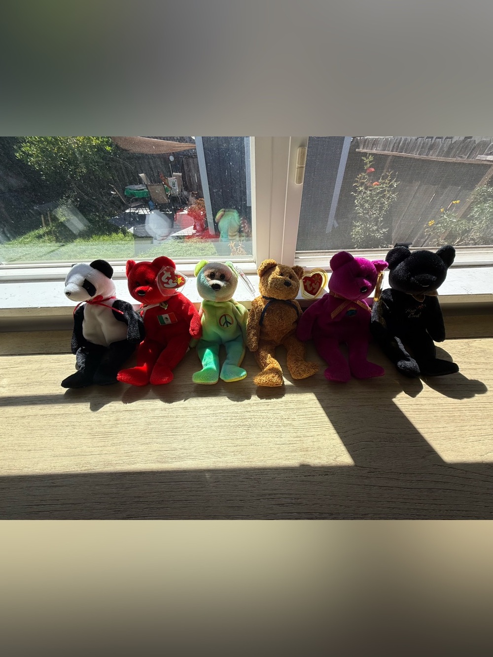 Ty Beanie Baby Bears Bundle of 6